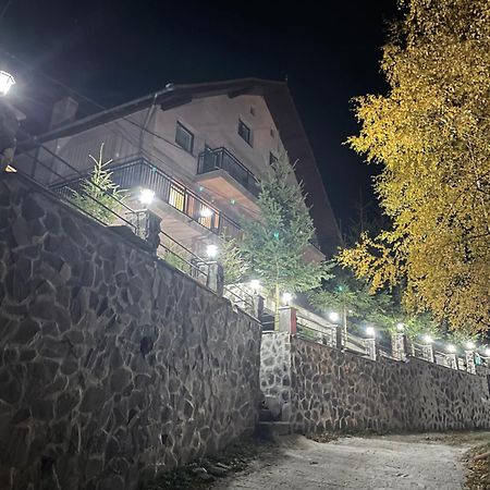 Pensiunea Joe Пэлтиниш Экстерьер фото