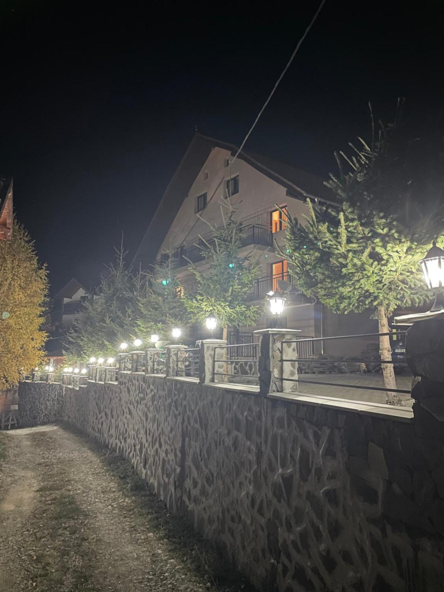 Pensiunea Joe Пэлтиниш Экстерьер фото