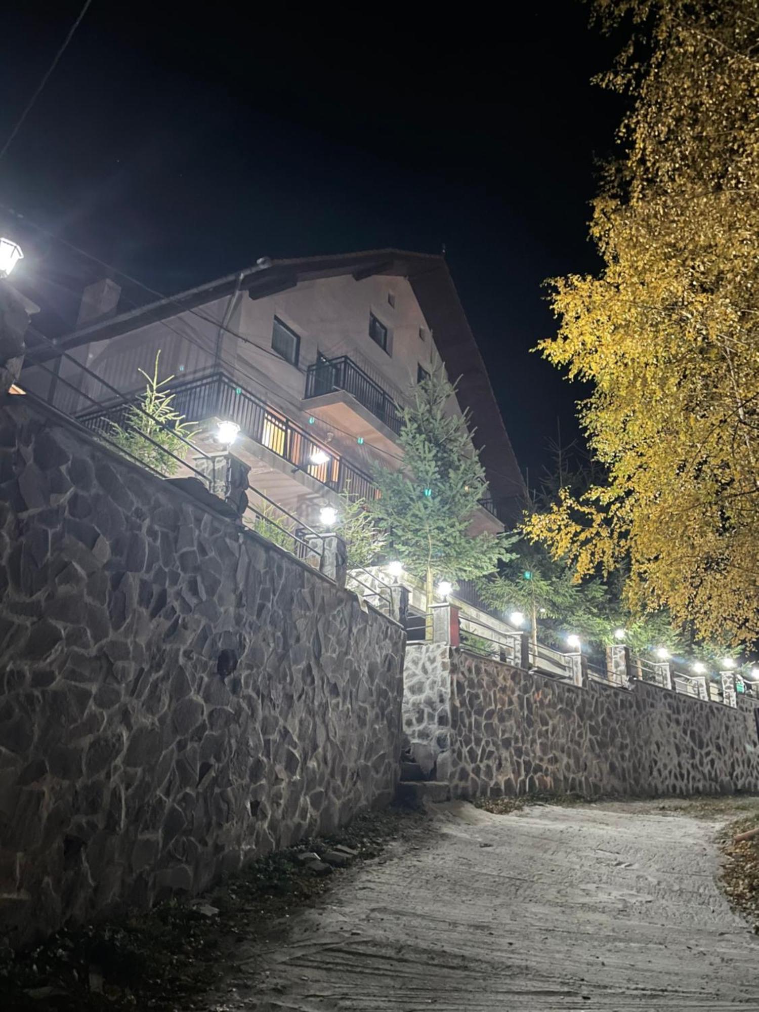 Pensiunea Joe Пэлтиниш Экстерьер фото